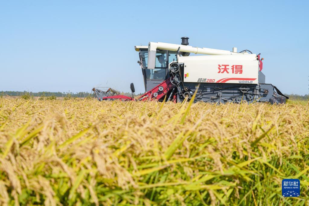 类似大宝lg娱乐网址